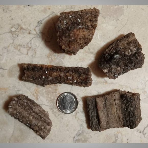 petrified wood covered in smokey \ smoky quartz stone rock fossil chunks - Picture 3 of 5